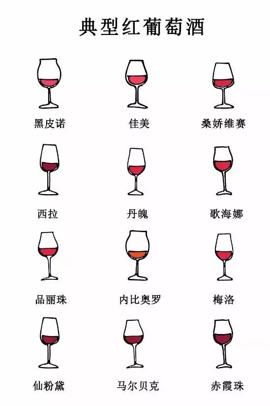 别再说盲品难了，我一次性给你总结了 20 种典型葡萄酒的特点！